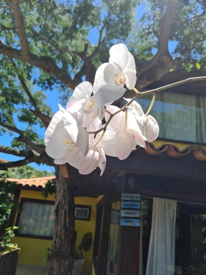 Casa Ferradura Com Hidro,Piscina E 500 Metros Da Praia Armacao dos Buzios Dış mekan fotoğraf